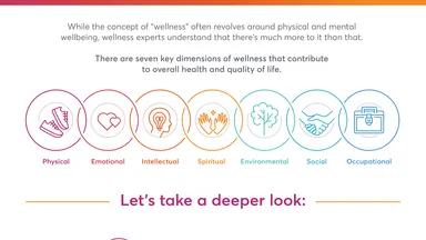 The seven dimensions of wellness infographic