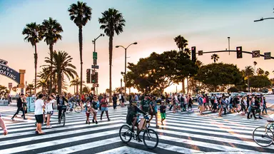 crosswalk in los angeles with palm trees and people