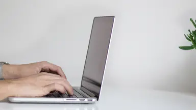 person typing on laptop on desk with plant