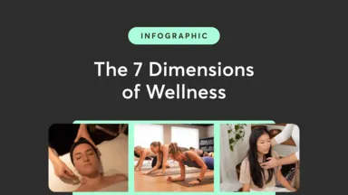 Featured image for The 7 Dimensions of Wellness