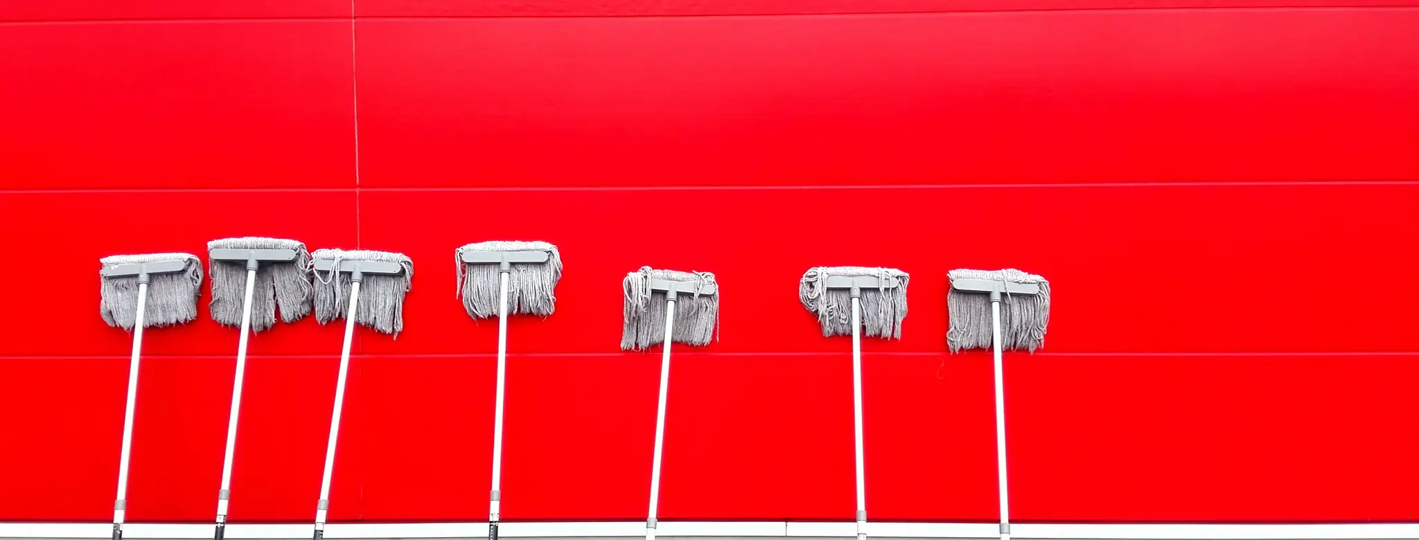 Mops against red wall