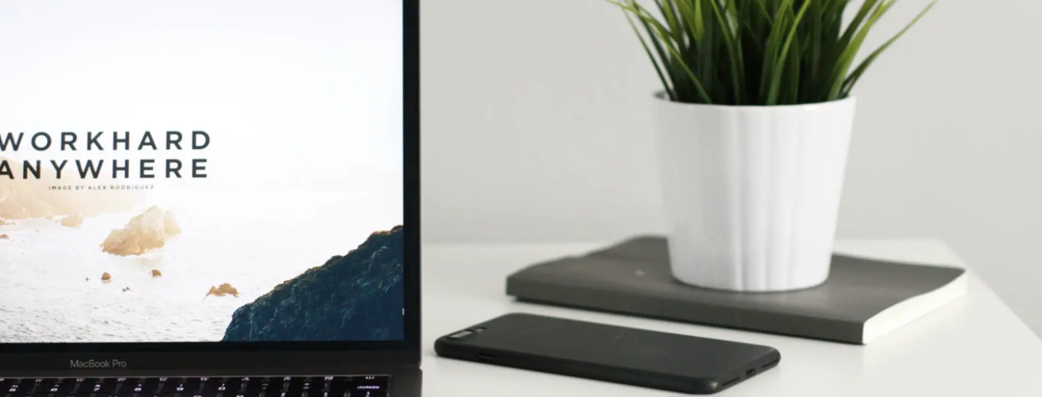 laptop on desk with plant