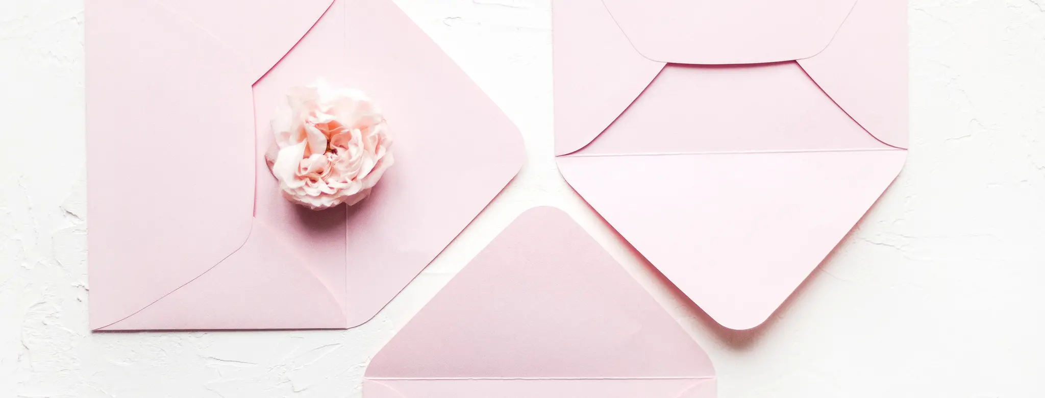pink envelopes with pink flower on white background