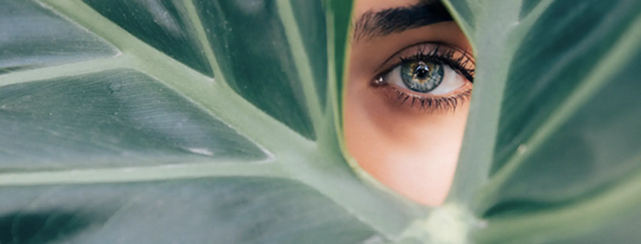 woman's eye looking through plant