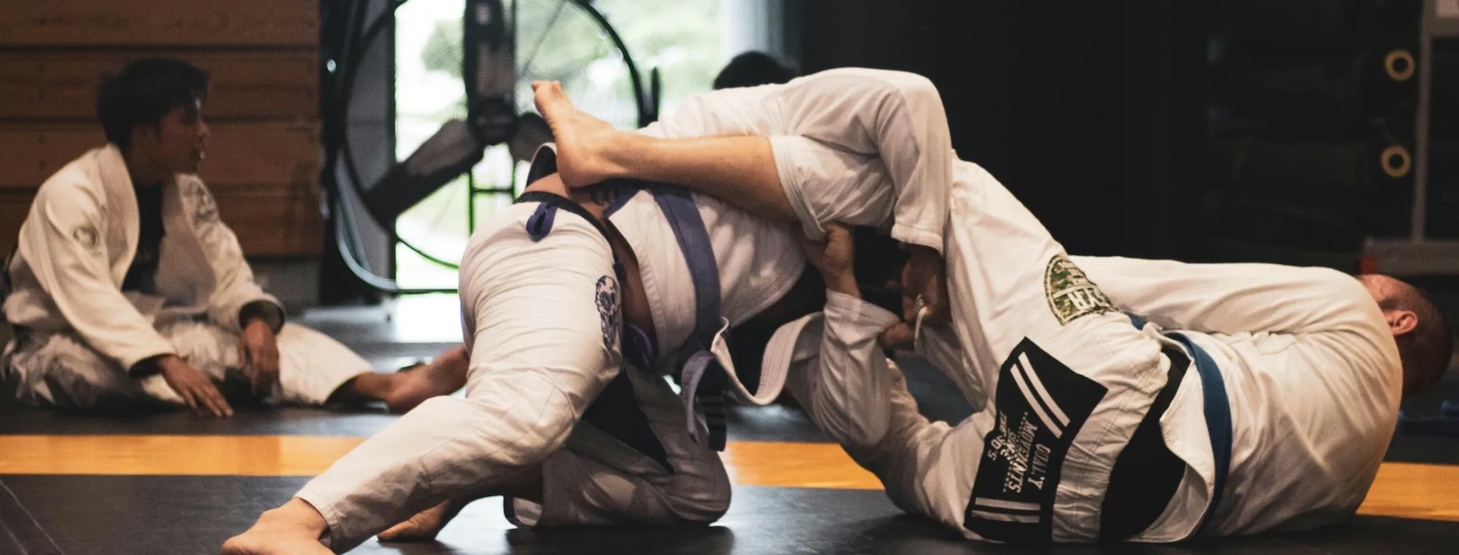 2 martial arts students on the mat