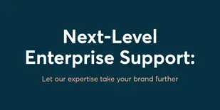 next level enterprise support
