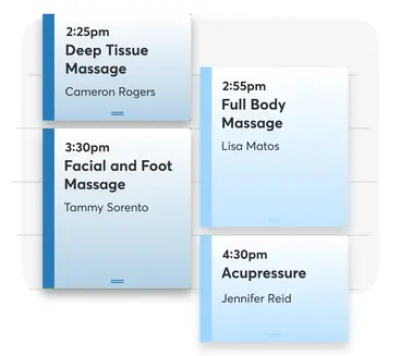 screenshot of a calendar for a spa