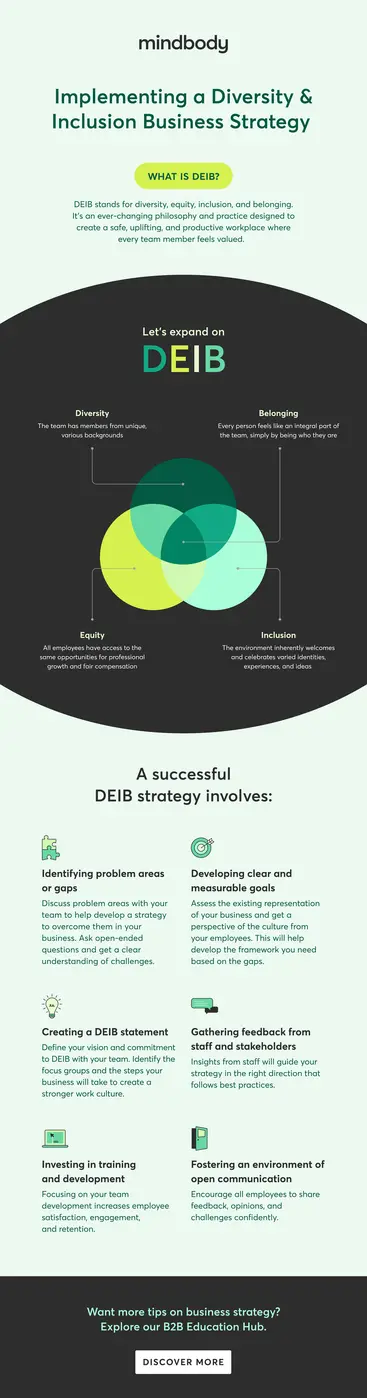DEIB Strategy Infographic