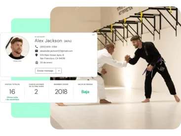 martial-arts-interactive-client-tools-es.png