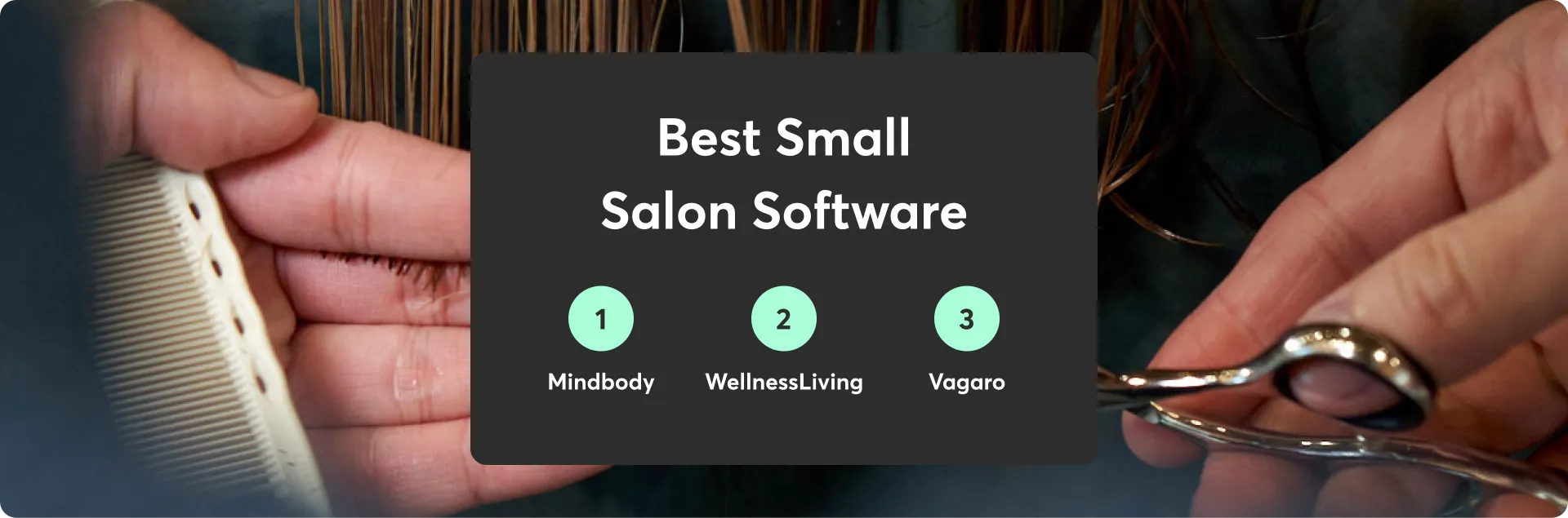 smallsalon-comparison-in-blog-image-1.png